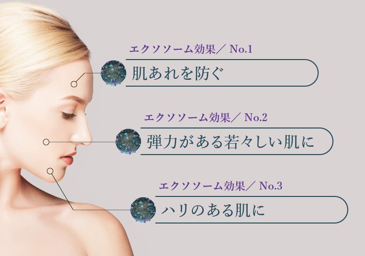 通販】exo PARTICLE エクソパーティクル エクソソーム